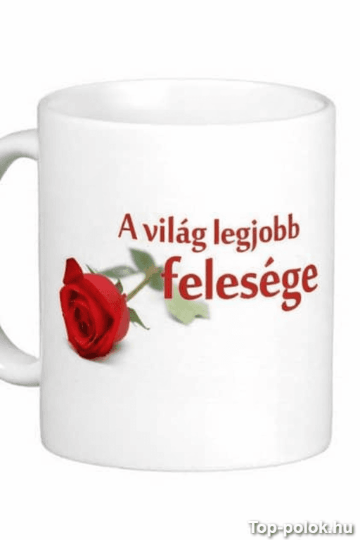 Vicces bögre a világ legjobb felesége