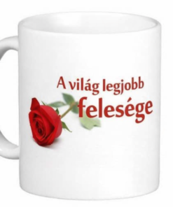 Vicces bögre a világ legjobb felesége